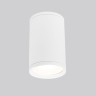 Накладной уличный светильник Elektrostandard Light 2101 (35128/H) белый