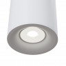 Потолочный светильник Maytoni C012CL-01W