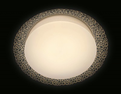 Накладной светильник Ambrella Light F119 WH 72W D520