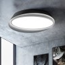 Накладной светильник ImperiumLoft 102036-26