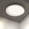 Накладной светильник ImperiumLoft 102036-26