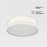 Потолочный светильник Technical C032CL-90W4K-RD-MG