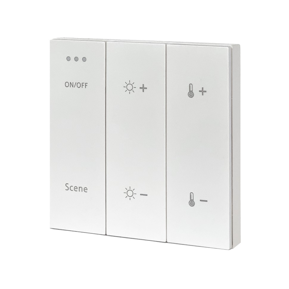 ST015.500.99 Беспроводная панель управления для SKYLINE 220/ SKYLINE 48 Белый