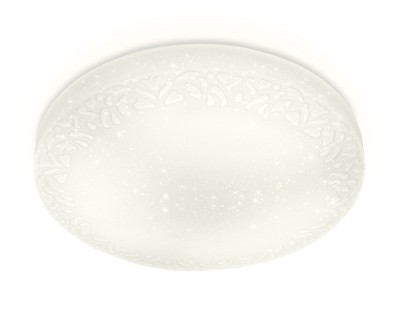 Накладной светильник Ambrella Light FF21