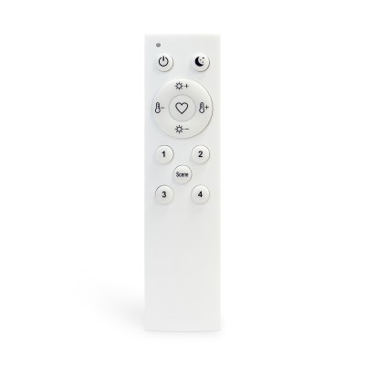 ST015.500.98 Пульт управления для SKYLINE 220/ SKYLINE 48 Белый