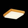 SLE200202-01 Светильник потолочный Светло-коричневый/Белый LED 1*20W 4000K