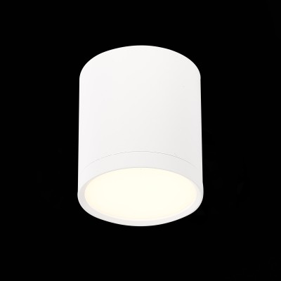 ST113.532.05 Светильник потолочный Белый LED 1*5W 3000K 390Lm Ra&gt;90 120° IP20 D68xH75 170-240V