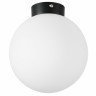 Накладной светильник Lightstar 812027