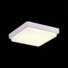 SLE200212-01 Светильник потолочный Белый/Белый LED 1*20W 4000K