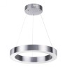 Подвесной светильник Odeon Light 4244/25L (Уцененный товар)