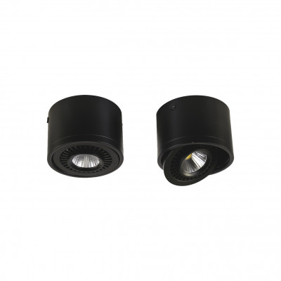 Потолочный светильник Favourite 1779-1C