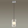 Подвесной светильник Odeon Light 4953/1
