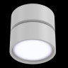 Потолочный светильник Maytoni C024CL-L12W4K