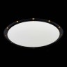 ST706.438.60 Св-к встр. Белый LED 12*5W 3000K 5 400Lm Ra>90 38° IP20 D1 000xH50 220-240V