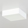 Накладной светильник Citilux CL712X120N