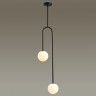 Потолочный светильник Odeon Light 4340/2 (Уцененный товар)