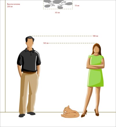 Накладная люстра MW-Light 267012005