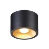 Накладной светильник Odeon Light 6669/1CL