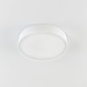 Накладной светильник Citilux CL72424V0