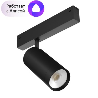 Светильник на шине Denkirs DK8020-BK