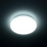 Накладной светильник Citilux CL71424SV