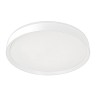 Накладной светильник Citilux CL751450G
