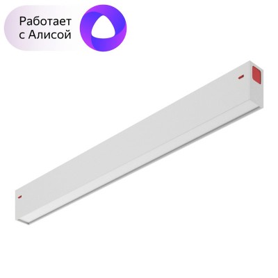 Светильник на шине Denkirs DK8004-WH