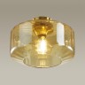 Накладной светильник Odeon Light 4747/1C