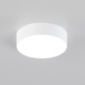 Накладной светильник Citilux CL712120N