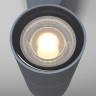 Настенный светильник (бра) Maytoni O574WL-01GR