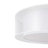 Потолочный светильник Maytoni MOD613CL-03W1