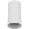 Накладной светильник Lightstar 216486