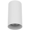 Накладной светильник Lightstar 216486
