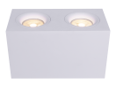 Потолочный светильник Maytoni C013CL-02W