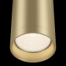 Потолочный светильник Maytoni C010CL-01MG