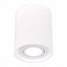 ST156.502.01 Светильник потолочный Белый GU10 1*50W IP20 D100xH120 180-240V Без ламп