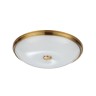 Накладной светильник Odeon Light 4956/5