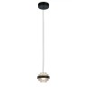 Подвесной светильник Delight Collection MD22030002-1A black/clear