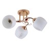 Светильники Потолочные Escada 1121/3PL E27*40W Gold