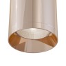 Потолочный светильник Maytoni C010CL-01RG
