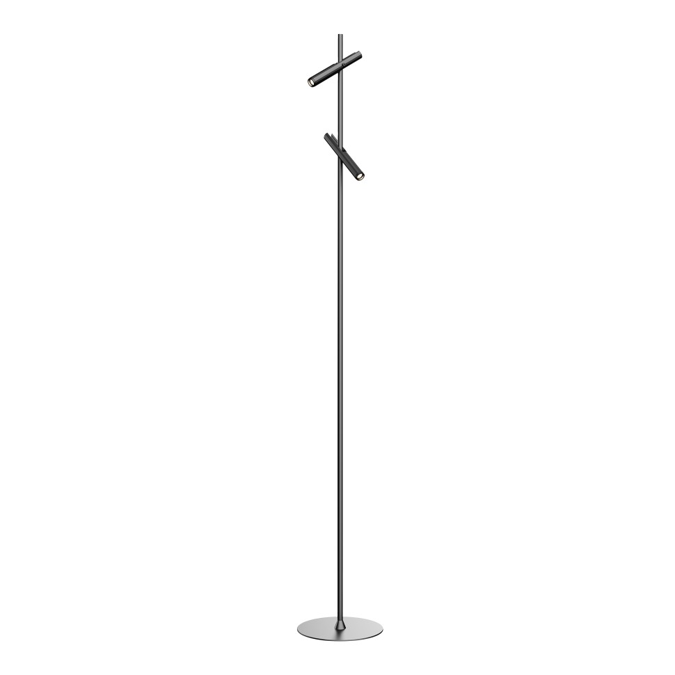 SL6210.405.02 Светильник напольный ST-Luce Черный/Черный, Золотистый LED 2*3W 3000K