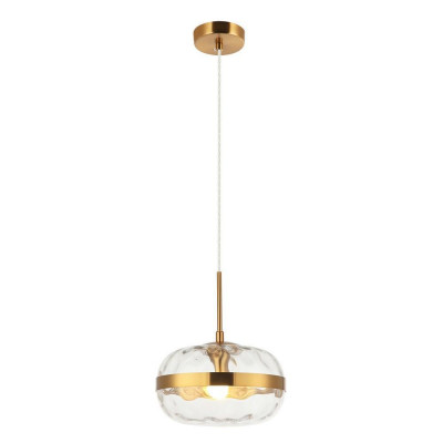 Светильник подвесной Aployt APL.305.06.01