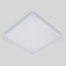 Накладной светильник Elektrostandard DLS043 10W 4200K