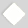 Накладной светильник Elektrostandard DLS043 10W 4200K