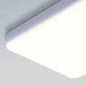 Накладной светильник Elektrostandard DLS043 10W 4200K