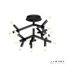 Потолочная люстра iLedex Savage FS-017-X25 3000K Черный