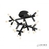 Потолочная люстра iLedex Savage FS-017-X25 3000K Черный