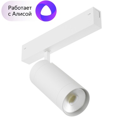 Светильник на шине Denkirs DK8020-WH