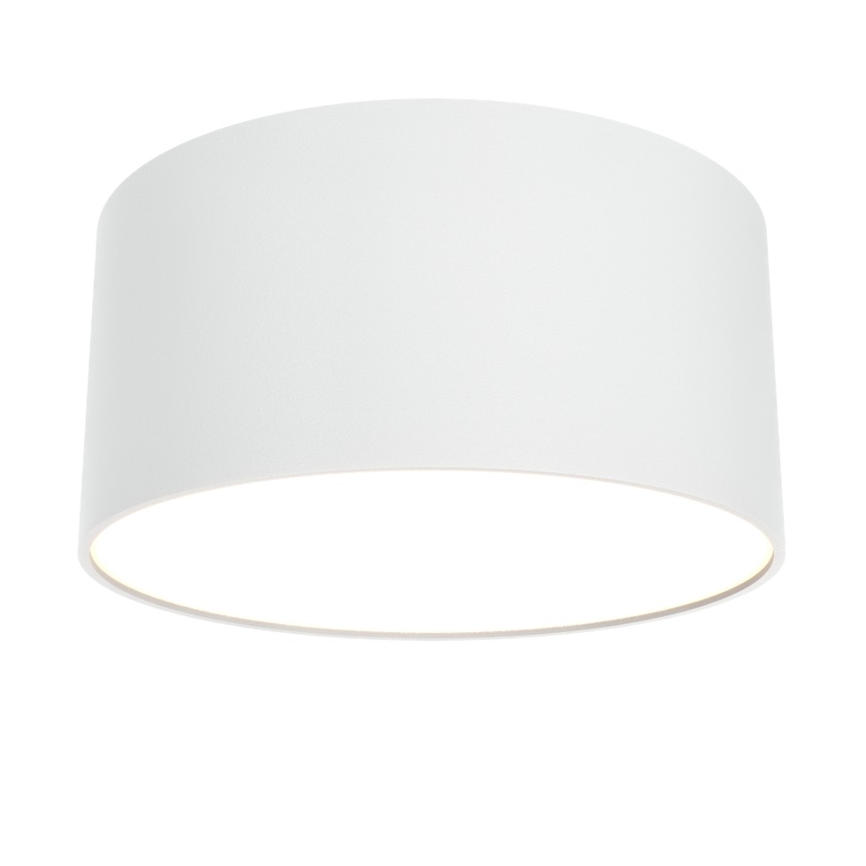 Потолочный светильник Technical C032CL-12W3K-RD-W