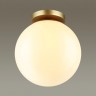 Накладной светильник Odeon Light 4248/1C